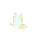 animated-flower-image-0422