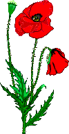 animated-flower-image-0460