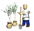 animated-gardener-image-0080