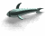 animated-shark-image-0005