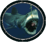 animated-shark-image-0053