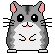 animated-hamster-image-0025