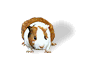 animated-hamster-image-0095
