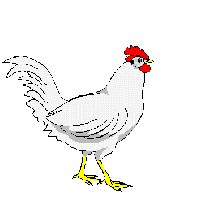 animated-chicken-image-0036