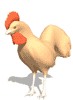 animated-chicken-image-0111
