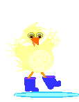 animated-chick-image-0052