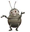 animated-ladybird-image-0056
