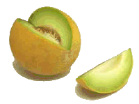 animated-melon-image-0020