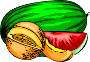 animated-melon-image-0046
