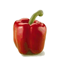 animated-sweet-pepper-image-0027