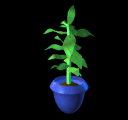 animated-plant-image-0051