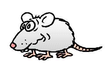 animated-rat-image-0091