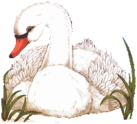 animated-swan-image-0014