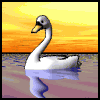 animated-swan-image-0016