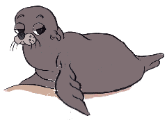 animated-common-seal-image-0062