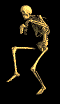 animated-skeleton-image-0022