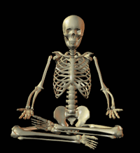 animated-skeleton-image-0045
