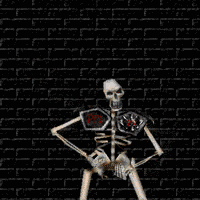 animated-skeleton-image-0079