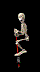 animated-skeleton-image-0089