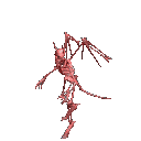 animated-skeleton-image-0108