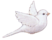 animated-pigeon-image-0028