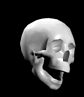animated-skull-image-0014