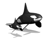 animated-whale-image-0027