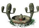 animated-cactus-image-0004