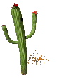 animated-cactus-image-0013
