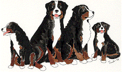 animated-bernese-mountain-dog-image-0190