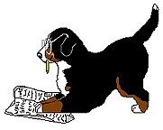 animated-bernese-mountain-dog-image-0196