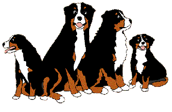 animated-bernese-mountain-dog-image-0198