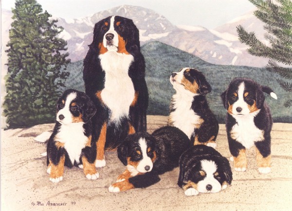 animated-bernese-mountain-dog-image-0208