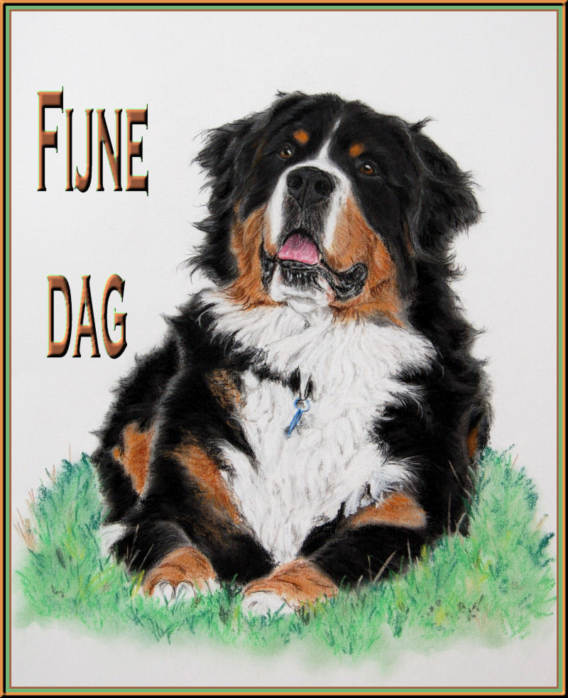 animated-bernese-mountain-dog-image-0213
