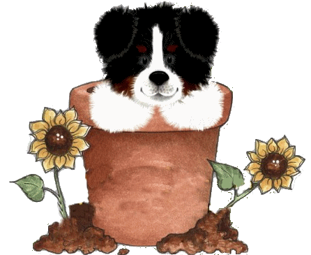 Http Www Animatedimages Org Cat Dogs Htm Http Www Animatedimages Org Cat Dogs Htm