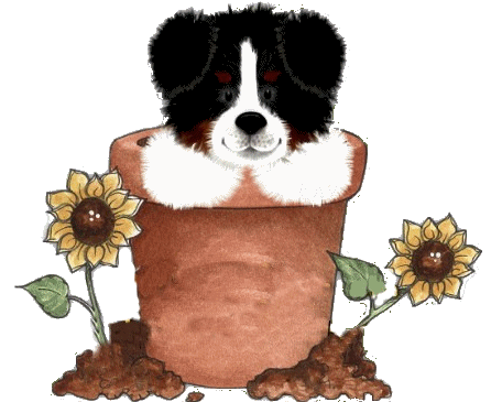 animated-bernese-mountain-dog-image-0240