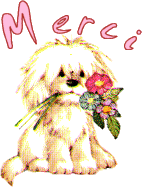 animated-french-text-image-0265