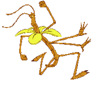 animated-a-bugs-life-image-0018