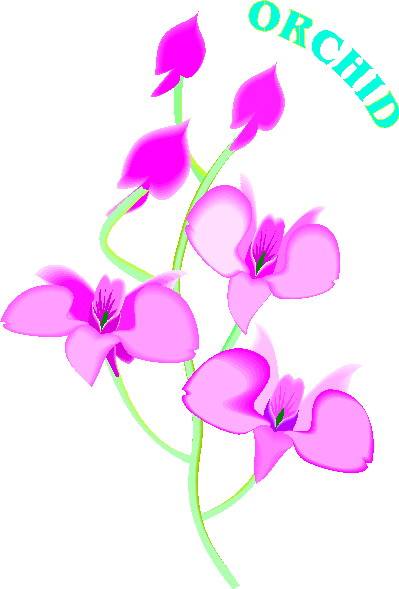 animated-orchid-image-0004