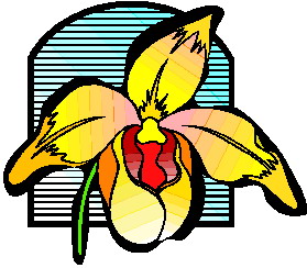 animated-orchid-image-0010