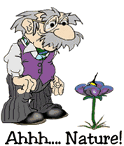 animated-elderly-image-0055