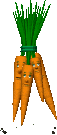 animated-carrot-image-0022
