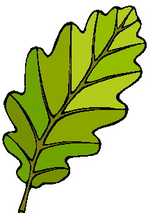 animated-leaf-image-0027