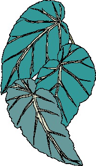 animated-leaf-image-0038