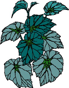 animated-leaf-image-0054