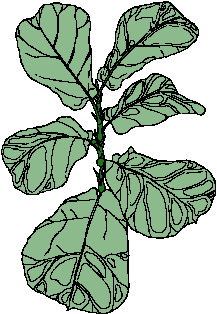 animated-leaf-image-0140