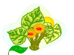 animated-leaf-image-0144