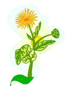 animated-leaf-image-0163