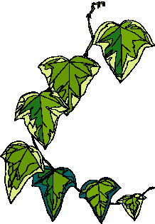 animated-leaf-image-0214