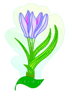 animated-leaf-image-0221